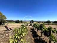 Ferme T7 en pierre - Magnifique vue - Calme - Rare — photo 2