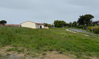 Photo N° 4