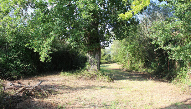 Villa / Maison 6 pièces  à vendre Saint-Cricq-Chalosse 40700