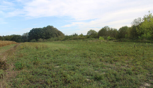 Villa / Maison 6 pièces  à vendre Saint-Cricq-Chalosse 40700