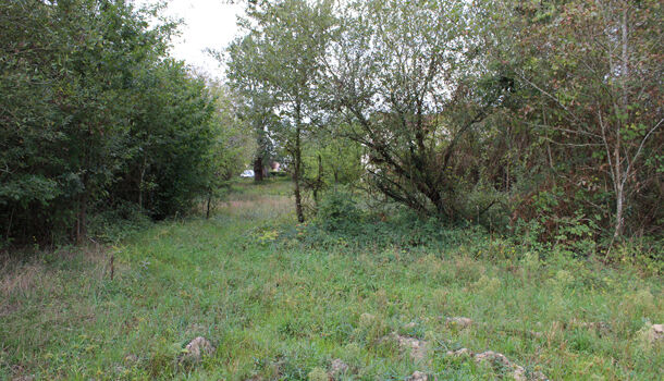 Villa / Maison 6 pièces  à vendre Saint-Cricq-Chalosse 40700