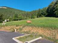 Terrains constructibles — photo 3