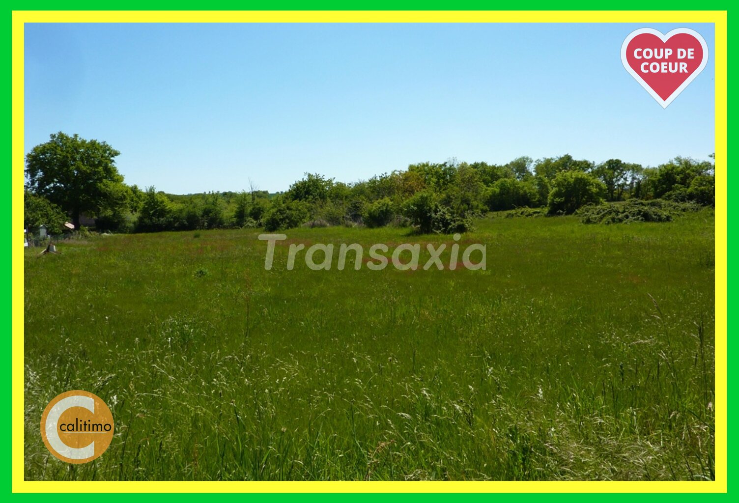 TERRAIN A BATIR 3500 M2 — photo 1