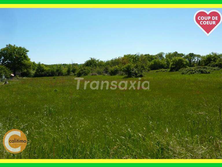 TERRAIN A BATIR 3500 M2 — photo 1