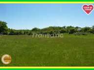 TERRAIN A BATIR 3500 M2 — photo 2
