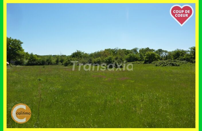 TERRAIN A BATIR 3500 M2 — photo 2