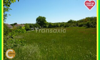 Photo N° 4