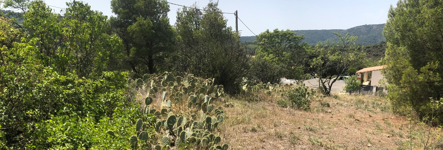 Terrain  1013 m² à vendre à Félines-Minervois (34210)