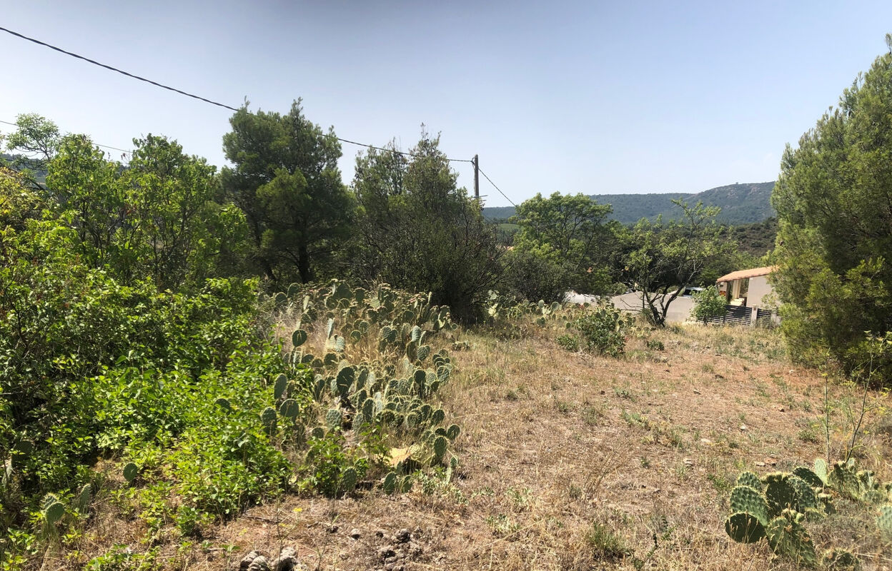 terrain  pièces 1013 m2 à vendre à Félines-Minervois (34210)