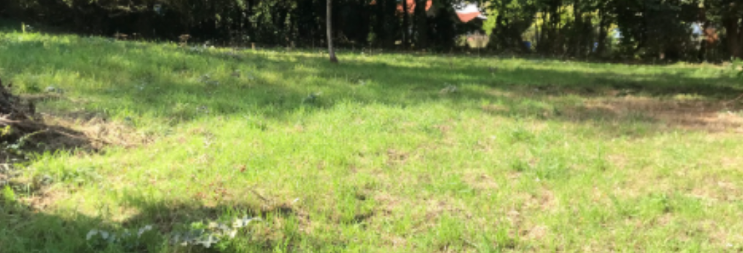 Terrain  900 m² à vendre à Fruges (62310)