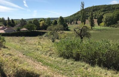 vente terrain 28 750 € à proximité de Tournon-d'Agenais (47370)