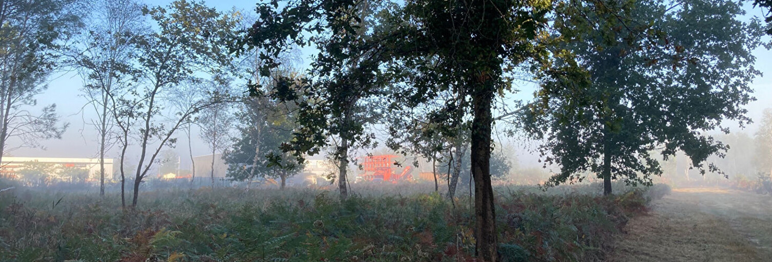 Local industriel  3290 m² à vendre à Cissac-Médoc (33250)