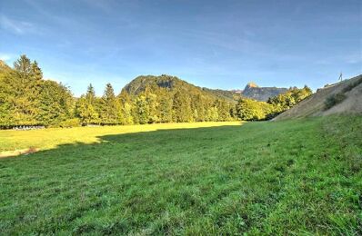 terrain  pièces 1393 m2 à vendre à Montriond (74110)