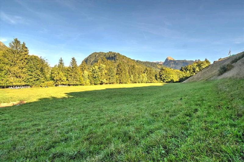Photo Terrain Montriond