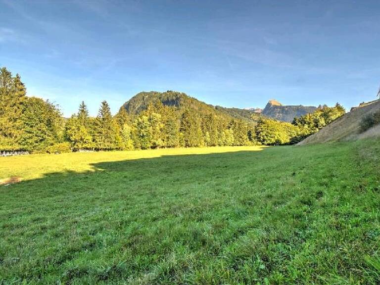 Terrain à construire  1393 m²  — photo 1