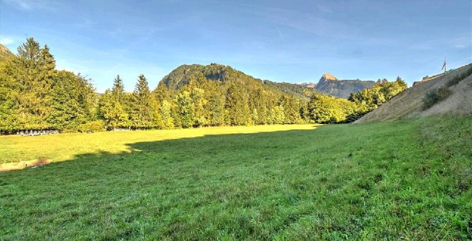 Vente terrain  1393 m² Montriond (74110) — photo 1