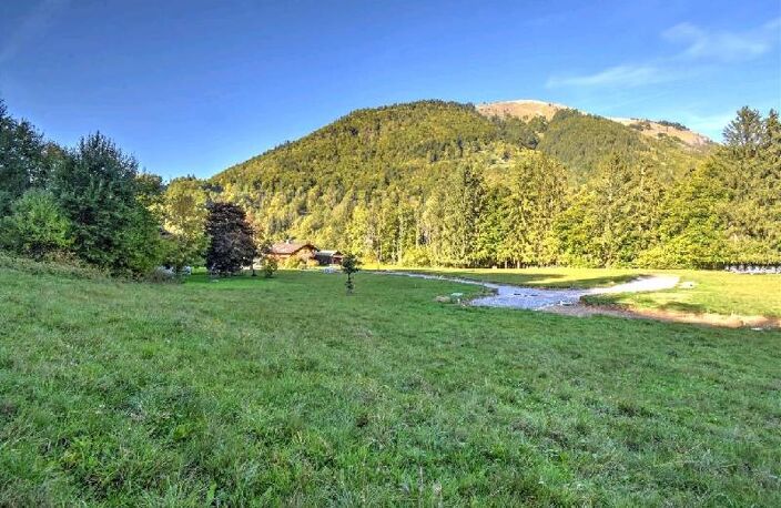 Vente terrain  1393 m² Montriond (74110) — photo 3
