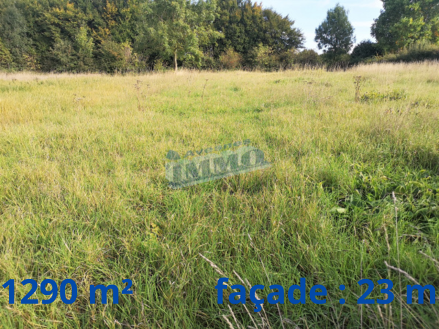 Terrain à bâtir secteur d'Avesnes le Comte — photo du bien