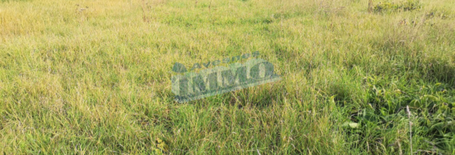 Terrain  1290 m² à vendre à Avesnes-le-Comte (62810)