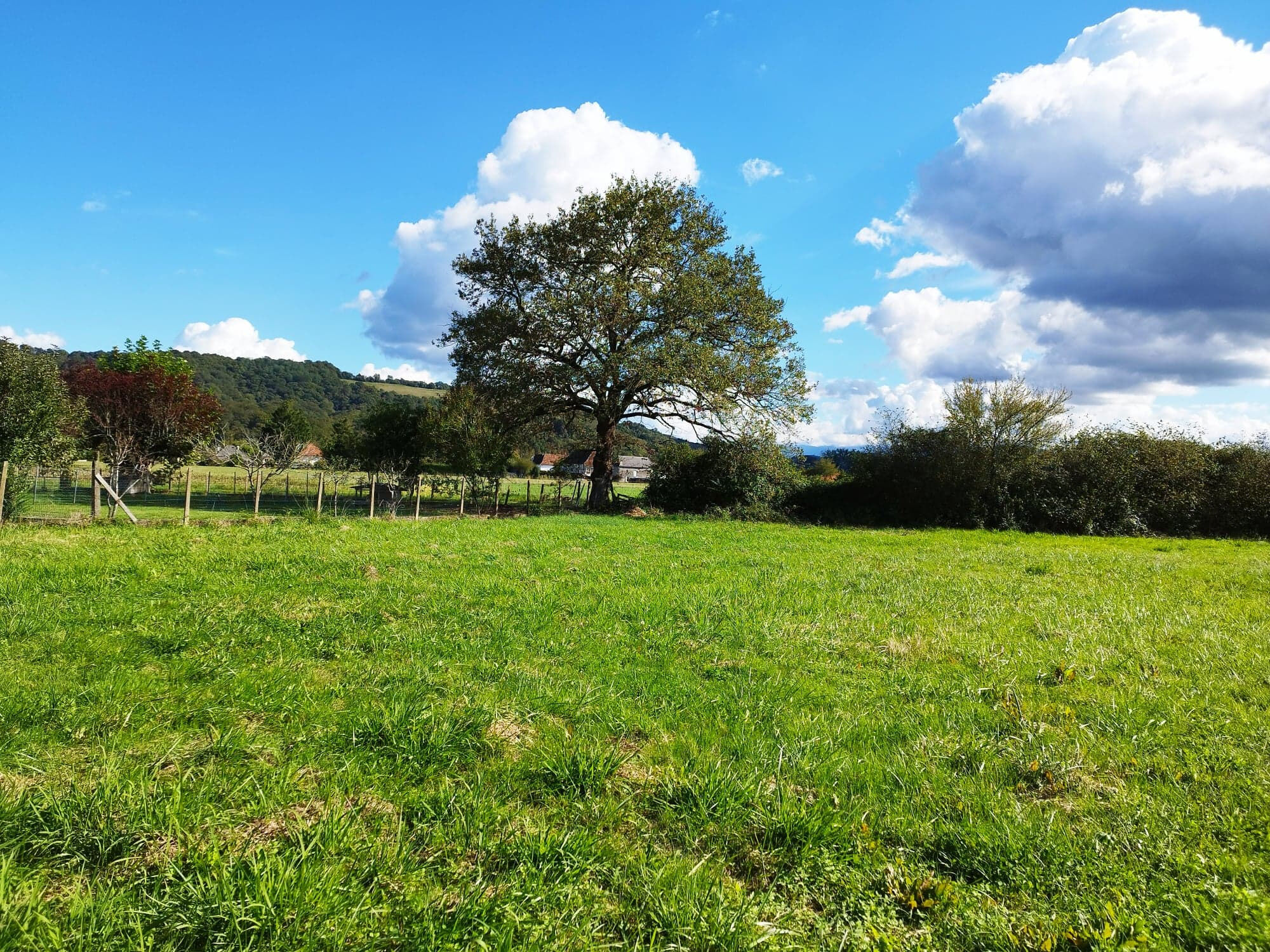 Terrain  à vendre Espès-Undurein 64130