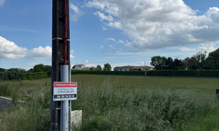 Photo N° 6