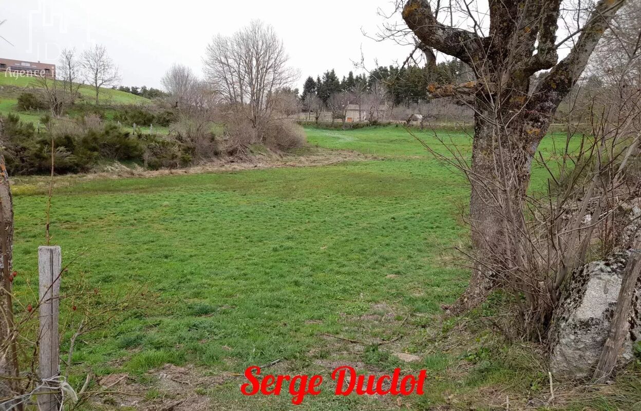 terrain  pièces 1720 m2 à vendre à Les Laubies (48700)