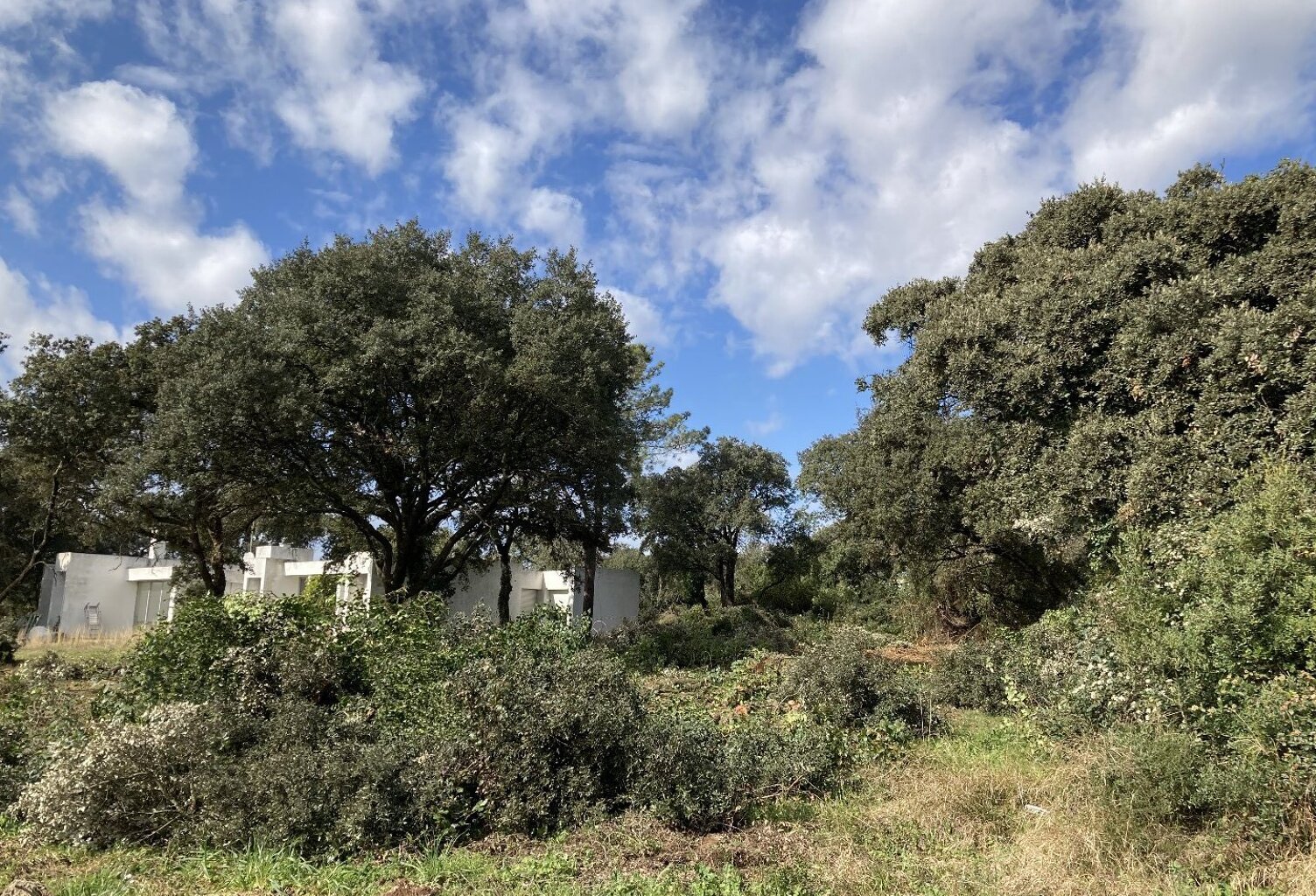 Terrain — photo 1