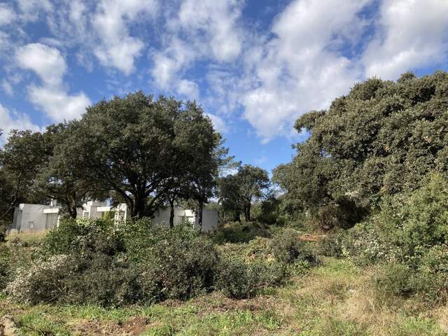 Terrain — photo du bien