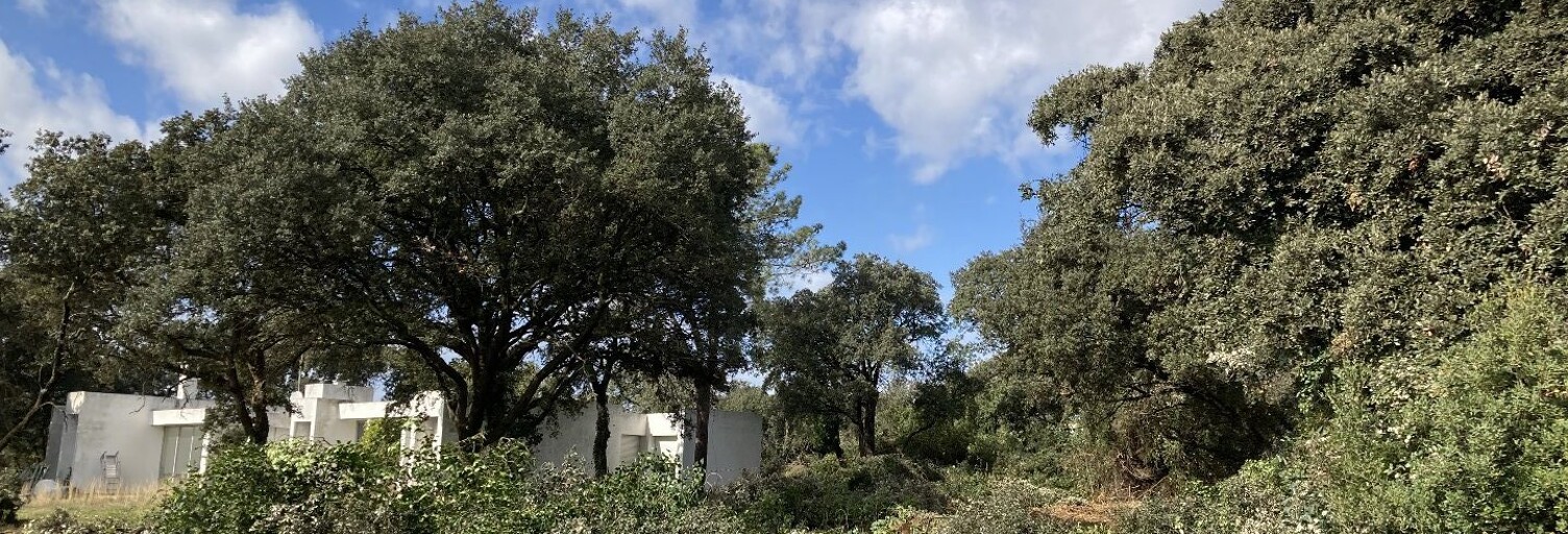 Terrain  203 m² à vendre à Baillargues (34670)