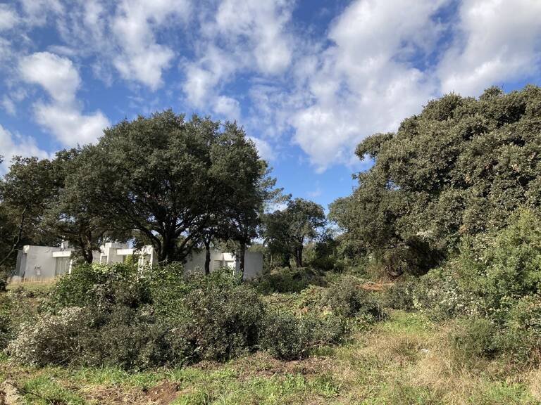 Terrain — photo 1