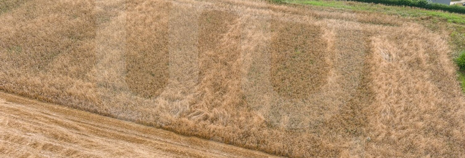 Terrain  1143 m² à vendre à Valmont (76540)