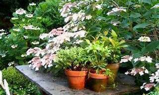 Appartement 4 Pièces 75 m² à vendre à Bordeaux (33000)