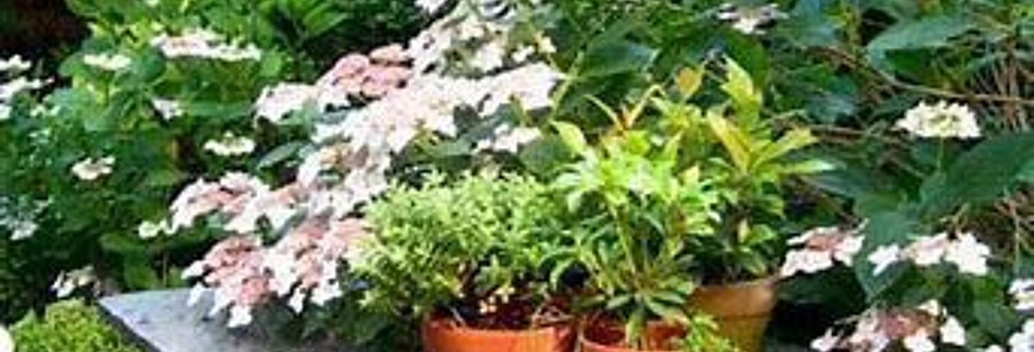 Appartement 4 Pièces 75 m² à vendre à Bordeaux (33000)