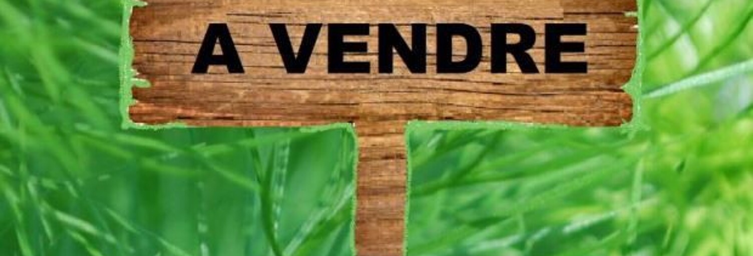 Terrain  656 m² à vendre à Saint-Gervais-la-Forêt (41350)