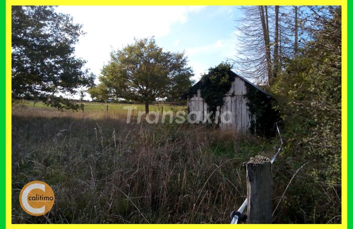 Terrain de loisirs — photo 2