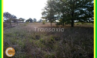 Photo N° 4