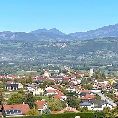 Appartement 2 pièces 317500 €