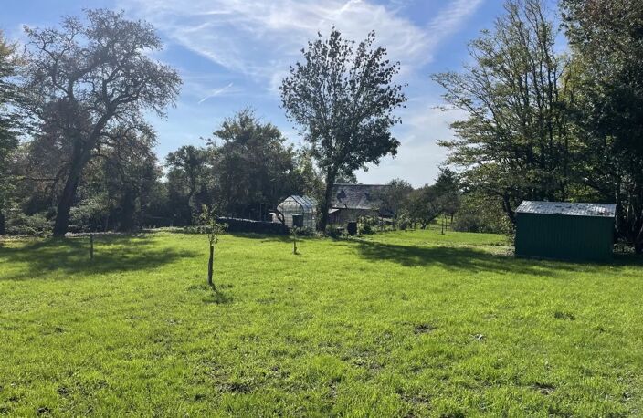 Vaste maison individuelle avec terrain à vendre en Bourgogne — photo 4
