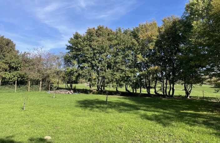 Vaste maison individuelle avec terrain à vendre en Bourgogne — photo 5