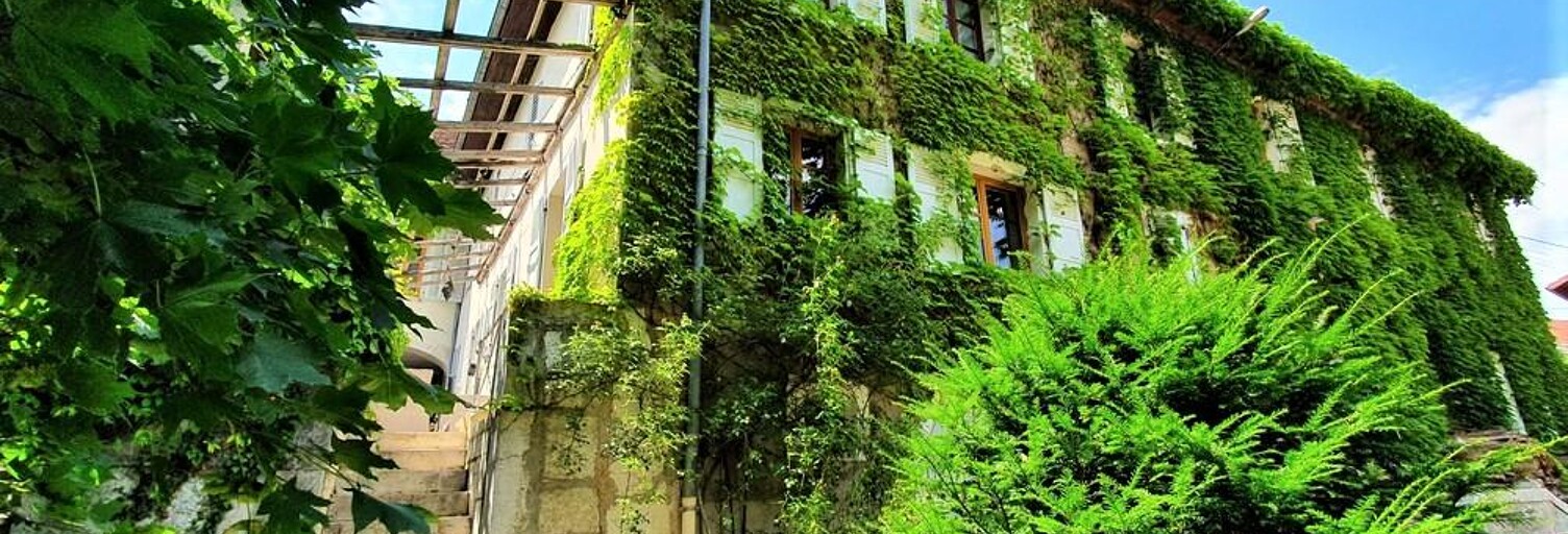 Maison 15 Pièces 525 m² à vendre à Seyssel (74910)