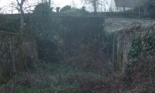 Photo N° 8