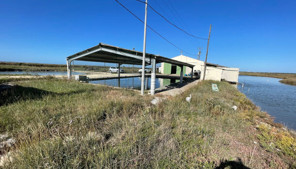 Villa / Maison 3 pièces  à vendre Saint-Just-Luzac 17320