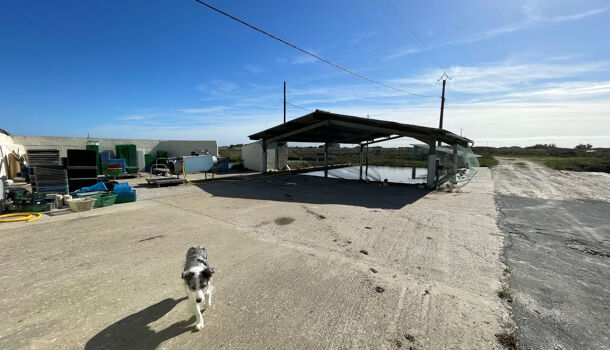 Villa / Maison 3 pièces  à vendre Saint-Just-Luzac 17320