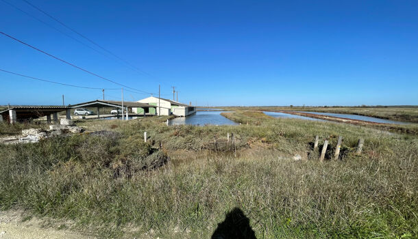 Villa / Maison 3 pièces  à vendre Saint-Just-Luzac 17320