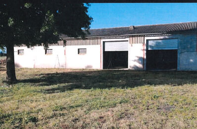 local industriel  pièces 400 m2 à louer à Castelnau-Picampeau (31430)