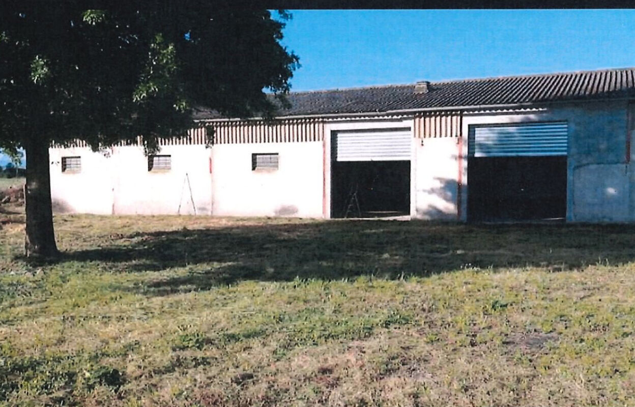 local industriel  pièces 400 m2 à louer à Castelnau-Picampeau (31430)