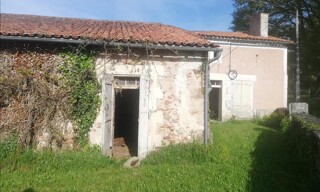 Photo N° 8