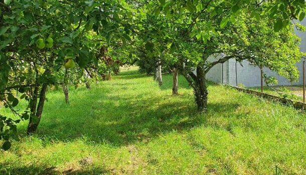 Terrain  à vendre Corbeny 02820