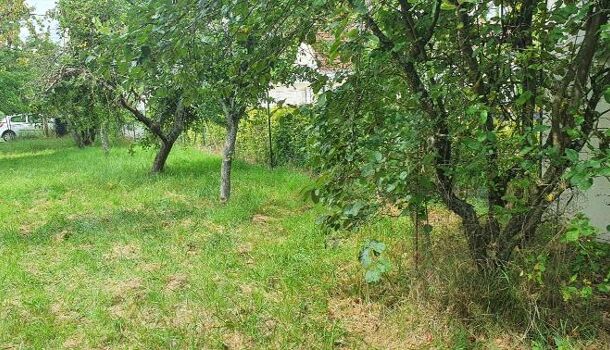 Terrain  à vendre Corbeny 02820