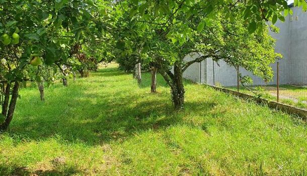 Terrain  à vendre Corbeny 02820